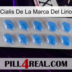 Lily Brand Cialis 22